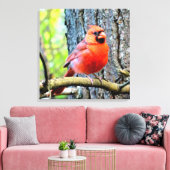 Red Kardinal Summer Square Print Leinwanddruck (Insitu (Wohnzimmer))