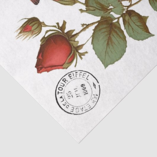 Red Kardinals Clipart Tissue Paper Seidenpapier (Ausschnitt)