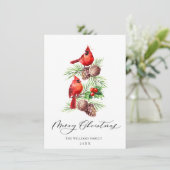 Red Kardinals Holly Berry Weihnachtsgrüßen Feiertagskarte (Stehend Vorderseite)