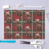 Red Kariert Boykin Spaniel Dog Lover Holiday Seidenpapier (Handwerk)