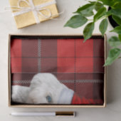 Red Kariert Christmas Coton de Tulear Dog Seidenpapier (Geschenk)