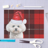 Red Kariert Christmas Coton de Tulear Dog Seidenpapier (Handwerk)