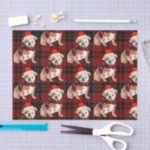 Red Kariert und English Bulldog Christmas Seidenpapier (Handwerk)