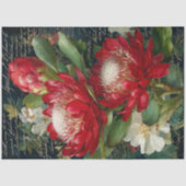 Red King Protea Blume Decoupage Seidenpapier (Vorderseite)