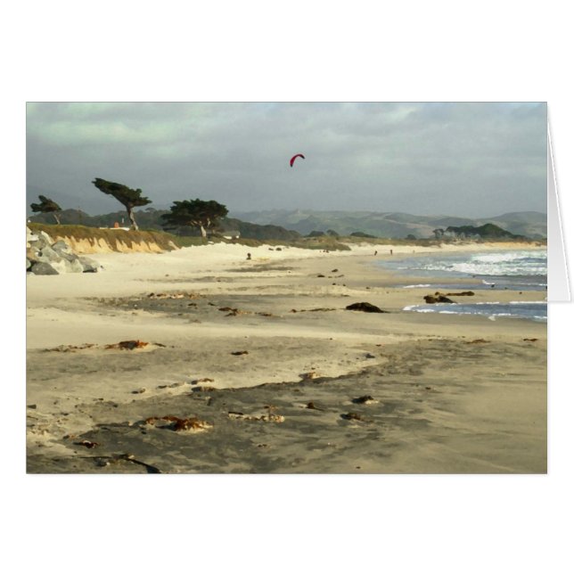 Red Kite (Vorderseite (Horizontal))