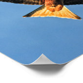 Red Kite Bird of Prey Poster (Ecke)