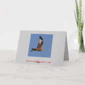 Red Kite Card Feiertagskarte (Rückseite)
