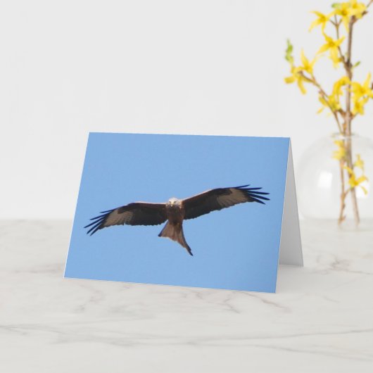 Red Kite Card Karte (Gelbe Blume)