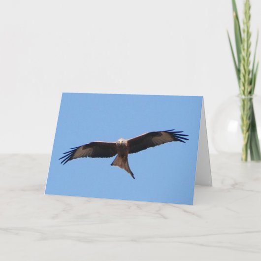 Red Kite Card Karte (Vorderseite)