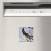 Red Kite hebt Magnet ab (In Situ (Geschirrspüler))