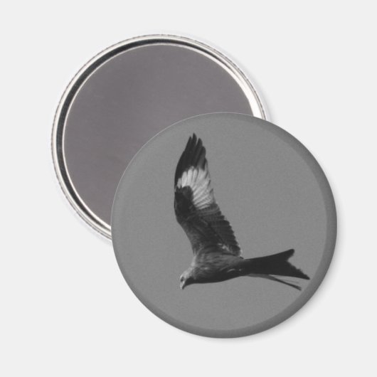 Red Kite Magnet (Vorderseite/Rückseite)
