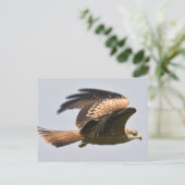 Red Kite Postcard Postkarte (Stehend Vorderseite)
