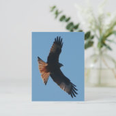 Red Kite Postcard Postkarte (Stehend Vorderseite)