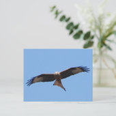 Red Kite Postcard  Postkarte (Stehend Vorderseite)