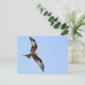 Red Kite Postcard Postkarte (Stehend Vorderseite)