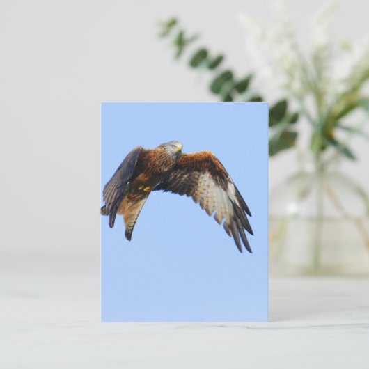 Red Kite Postkarte (Stehend Vorderseite)