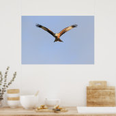 Red Kite Print Poster (Küche)