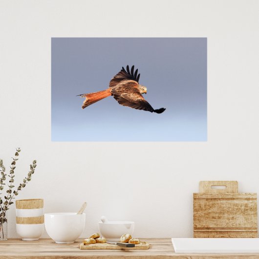 Red Kite Print Poster (Küche)