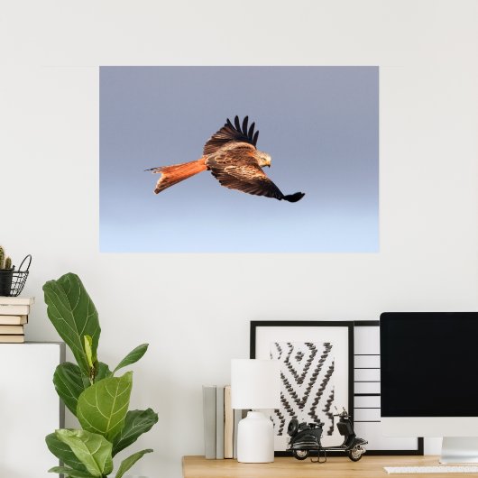 Red Kite Print Poster (Heimbüro)