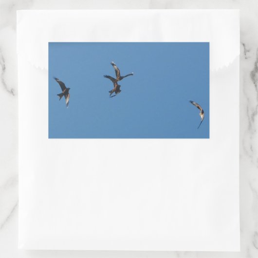 Red Kites Sticker (Tasche)