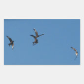 Red Kites Sticker (Vorderseite)