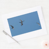 Red Kites Sticker (Umschlag)