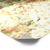 Red Knobbed Starfish - Unglaublicher Schuss Poster (Ecke)