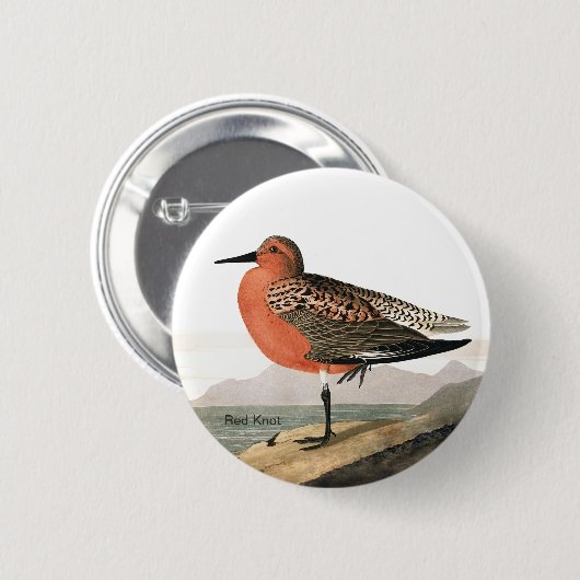 Red Knot by Audubon, Sandpiper Birdwatcher, Bird Button (Vorne & Hinten)