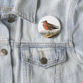 Red Knot by Audubon, Sandpiper Birdwatcher, Bird Button (Beispiel)