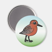 Red Knot Magnet (Vorderseite/Rückseite)