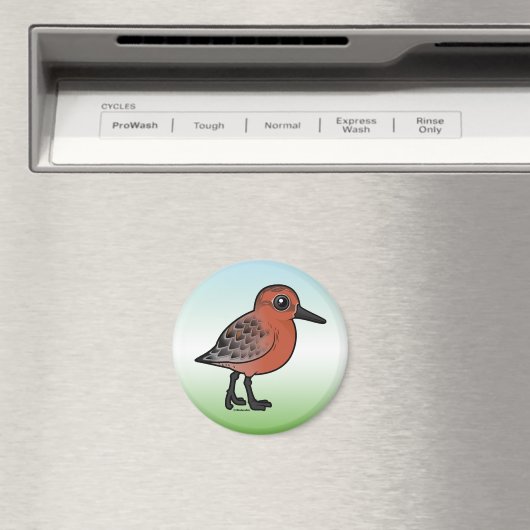 Red Knot Magnet (In Situ (Geschirrspüler))