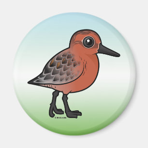 Red Knot Magnet
