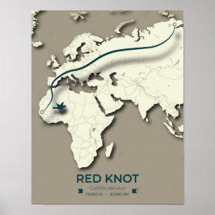 Red Knot Migration Map - Minimalistischer Vintager Poster