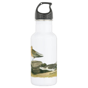 Red Knot von Audubon Trinkflasche