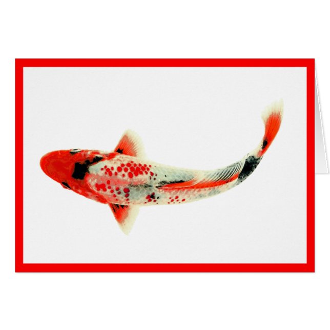 Red Koi (Vorderseite (Horizontal))