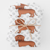 Red Kurz Hair Dackel Niedlich Hunde Muster & Pfote Geschenkpapier Set (Beispiel)