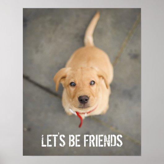 Red Labrador Puppy Poster (Vorne)