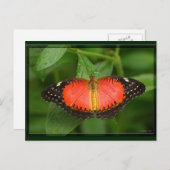 Red Lacewing Postkarte (Vorne/Hinten)