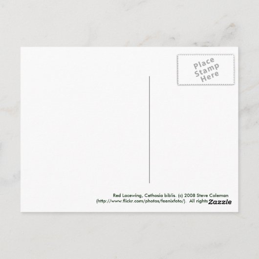 Red Lacewing Postkarte (Rückseite)