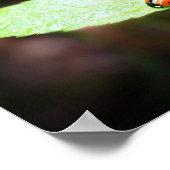 Red Lady Bug Nah in Naturfotografie Poster (Ecke)