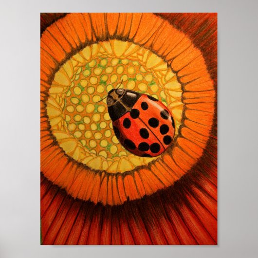 Red Lady Bug on a Zinnia Poster (Vorne)