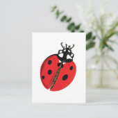 Red Lady Bug Viel Glück Botschafter Illustration Postkarte (Stehend Vorderseite)
