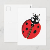 Red Lady Bug Viel Glück Botschafter Illustration Postkarte (Vorne/Hinten)