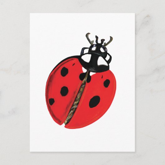 Red Lady Bug Viel Glück Botschafter Illustration Postkarte (Vorderseite)