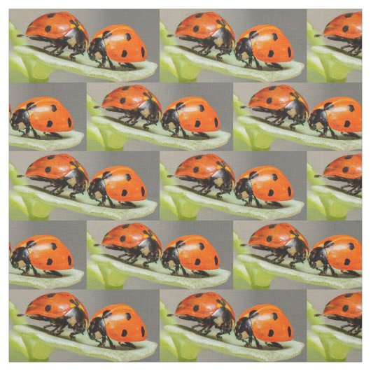 Red Lady Bugs Fabric Stoff (Muster)