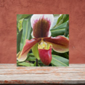 Red Lady Slipper Orchid Floral Fliese