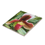 Red Lady Slipper Orchid Floral Fliese (Seite)