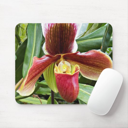 Red Lady Slipper Orchid Floral Mousepad (Mit Mouse)