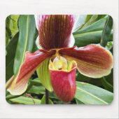 Red Lady Slipper Orchid Floral Mousepad (Vorne)