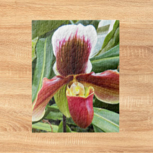 Red Lady Slipper Orchid Floral Puzzle